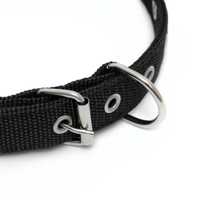 Ошейник Ошейник "Комфорт" комбинированный, 55 х 2,5 см, ОШ 40-50 см, чёрный