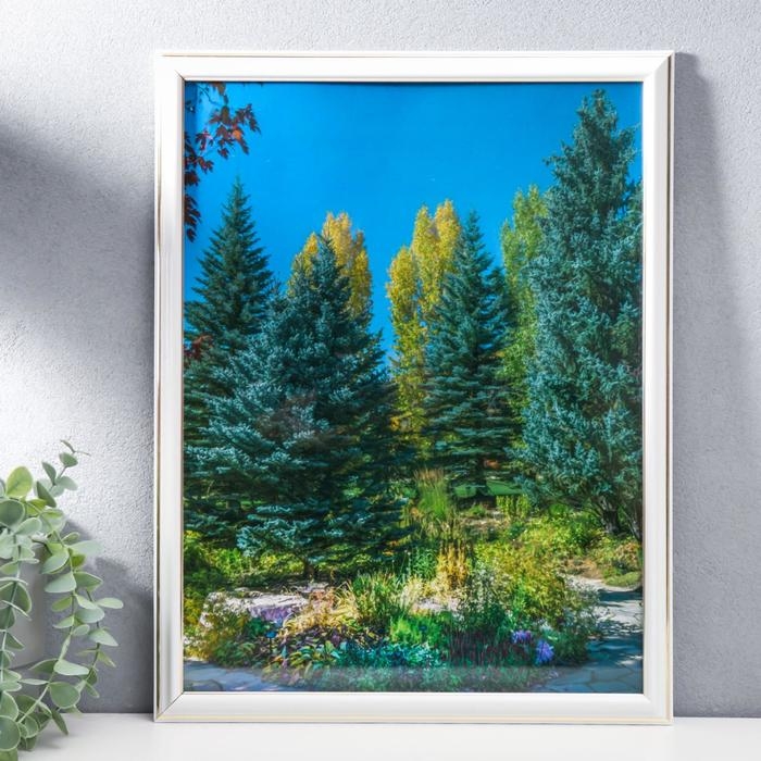 Фоторамка 30х40 281G белая с золотом(пластиковый экран) Фоторамка 30х40 281G белая с золотом(пластиковый экран)