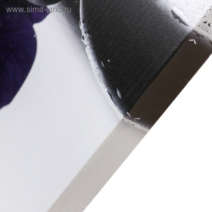 Картина-холст на подрамнике Картина-холст на подрамнике "Орхидеи" 60х100 см