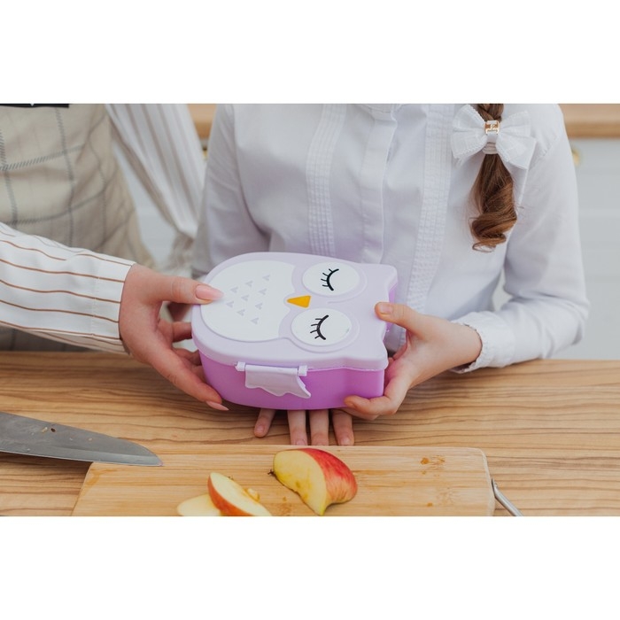 Ланч - бокс пластиковый с ложкой&laquo;Совушка&raquo;, 2 отделения: 300 мл, 450 мл, цвет МИКС