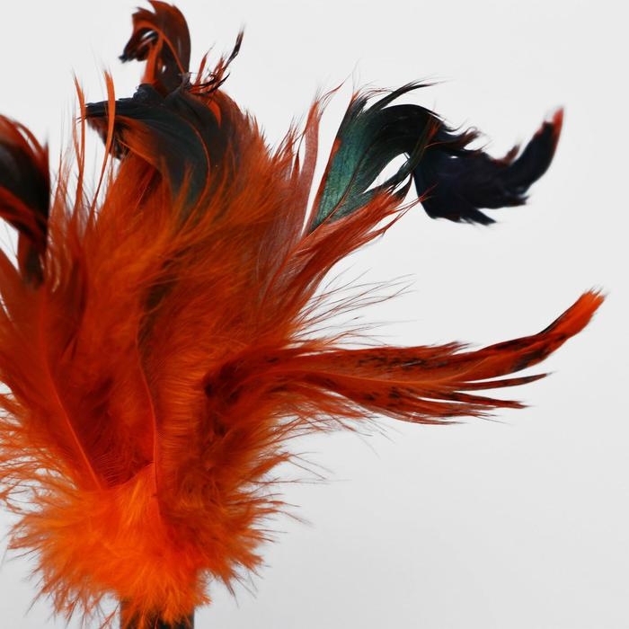 Игрушка-неваляшка для кошек с перьями, микс цветов Игрушка-неваляшка для кошек с перьями, микс цветов