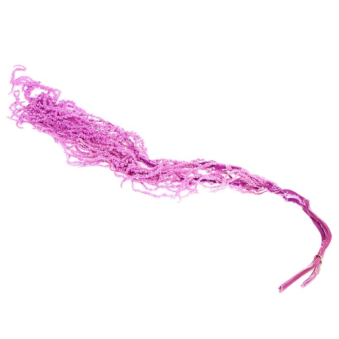 Сухие цветы амаранта, 100 г, размер листа: от 50 до 60 см, цвет фиолетовый Сухие цветы амаранта, 100 г, размер листа: от 50 до 60 см, цвет фиолетовый