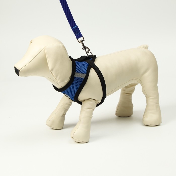 Комплект амуниции с мягкой шлейкой и светоотражающей нашивкой, L, ОШ 33 см, ОГ 36-48 см, синий 76143 Комплект амуниции с мягкой шлейкой и светоотражающей нашивкой, L, ОШ 33 см, ОГ 36-48 см, синий 76143