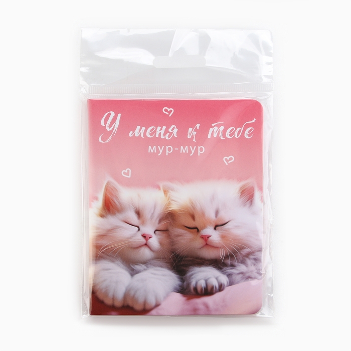 Значок на открытке «Котики», 10 х 8 см Значок на открытке «Котики», 10 х 8 см