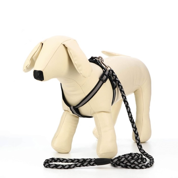 Комплект  Комплект "Плетенка", флуоресцентный, поводок 115 х 1 см, ОГ 32-48 х 1,5 см, чёрный