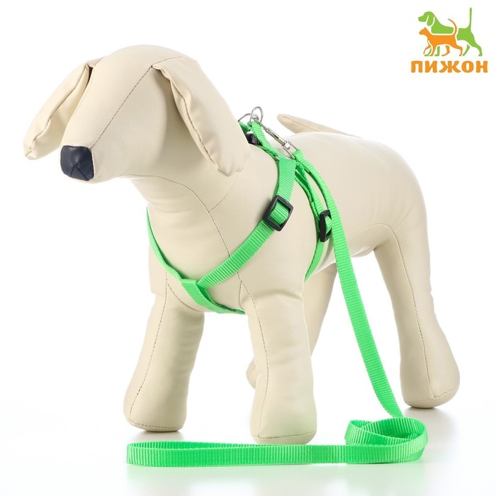 Комплект  Комплект "Базис", поводок 120 х 1,5 см, шлейка 32-46 х 1,5 см, зелёный