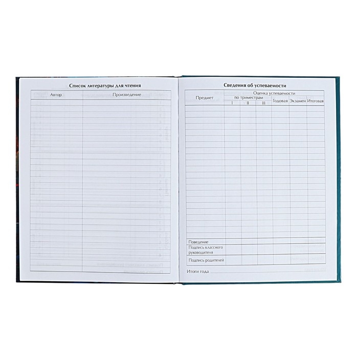 Дневник для 5-11 классов Дневник для 5-11 классов "Аниме. Девушка", твёрдая обложка, глянцевая ламинация, 48 листов