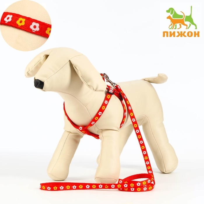 Комплект прошитый  Комплект прошитый "Цветы", поводок 120 х 1 см, ОГ 23-35 см, красный