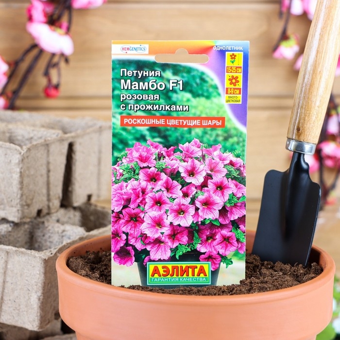 Семена Петуния Мамбо F1 розовая с прожилками многоцветковая, 7 шт Семена Петуния Мамбо F1 розовая с прожилками многоцветковая, 7 шт