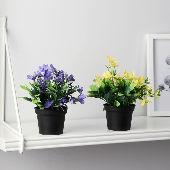 Бонсай в горшке Бонсай в горшке "Рододендрон" 7х12 см, микс