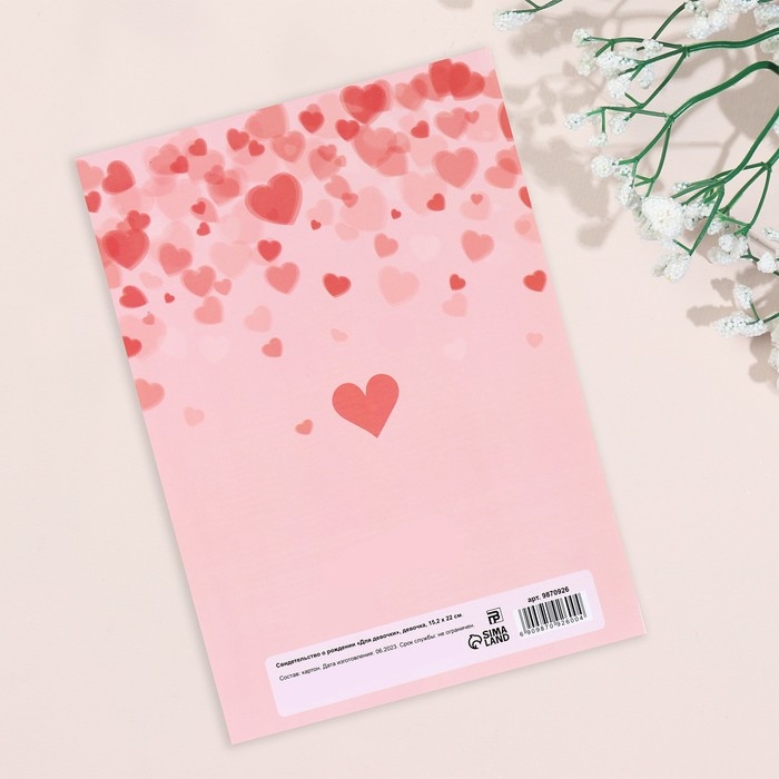 Папка под свидетельство о рождении Папка под свидетельство о рождении "Для девочки" девочка, А5