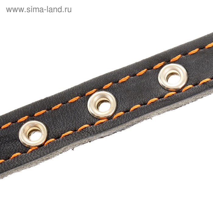 Ошейник кожаный на синтепоне, безразмерный, 37 х 1,5 см, ОШ 21-31 см, синий Ошейник кожаный на синтепоне, безразмерный, 37 х 1,5 см, ОШ 21-31 см, синий