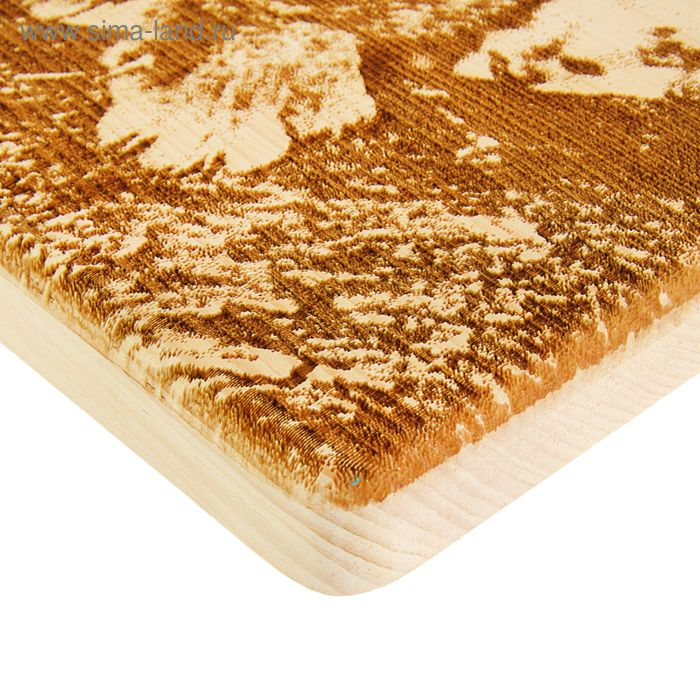 Доска из массива кедра «Рысёнок», прямоугольная, 18 × 28 см Доска из массива кедра «Рысёнок», прямоугольная, 18 × 28 см