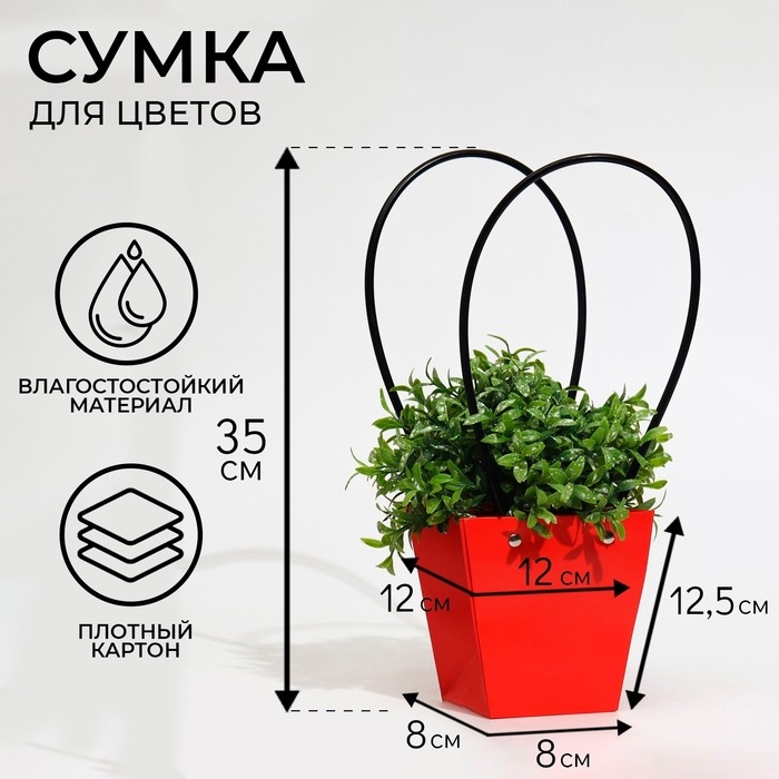 Сумка для цветов «Красная», влагостойкая, 12 x 12 - 8 x 8 - 12,5 см Сумка для цветов «Красная», влагостойкая, 12 x 12 - 8 x 8 - 12,5 см