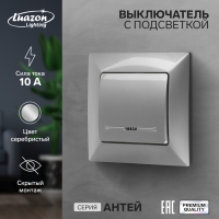 Выключатель Luazon Lighting "Антей", 10 А, 1 клавиша, с подсветкой, скрытый серебристый