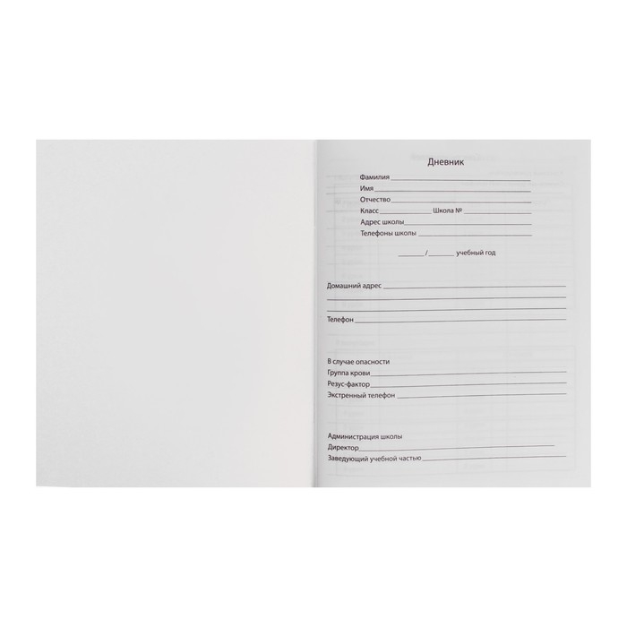 Дневник для 1-4 классов, Дневник для 1-4 классов, "Игривый котенок", мягкая обложка, 48 листов