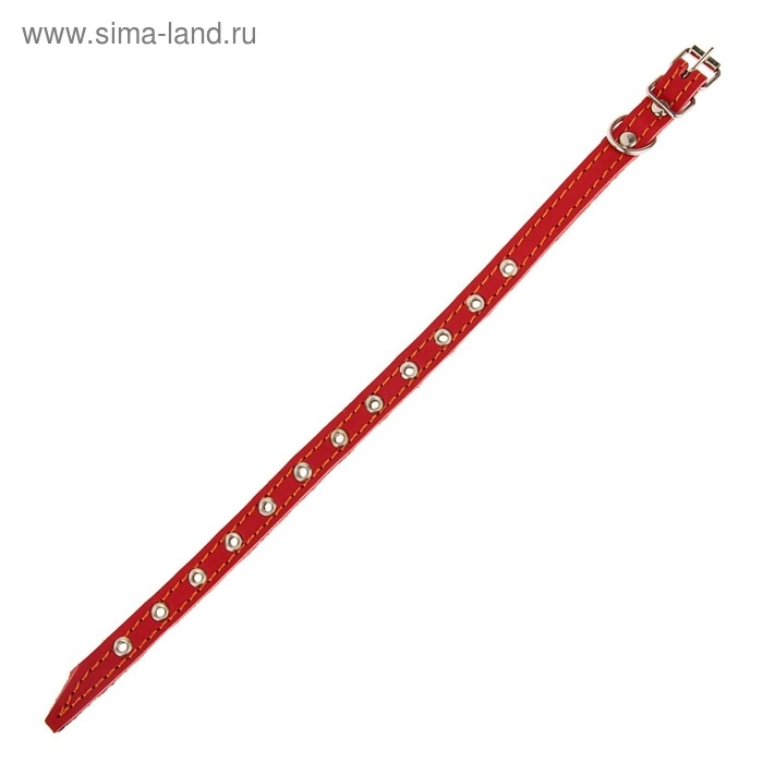 Ошейник кожаный на синтепоне, безразмерный, 37 х 1,5 см, ОШ 21-31 см, красный Ошейник кожаный на синтепоне, безразмерный, 37 х 1,5 см, ОШ 21-31 см, красный