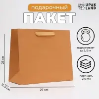 Пакет подарочный ламинированный горизонтальный &laquo;Крафт&raquo;, ML 27&times;23&times;11.5 см