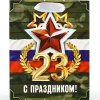 Пакет подарочный ламинированный &laquo;23 февраля&raquo;, S 12&times;15&times;5.5 см