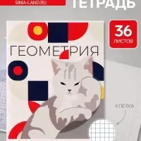 Предметная тетрадь по геометрии Calligrata &laquo;Животные мемы&raquo;, 36 листов, в клетку, со справочным материалом, обложка из мелованной бумаги