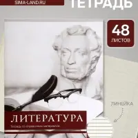 Предметная тетрадь по литературе Calligrata &laquo;Чёрное-белое&raquo;, 48 листов, в линейку, со справочным материалом, бумажная обложка