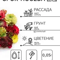 Семена цветов Молодило &laquo;Каменная Роза&raquo;, 0.01 г, &laquo;Гавриш&raquo;
