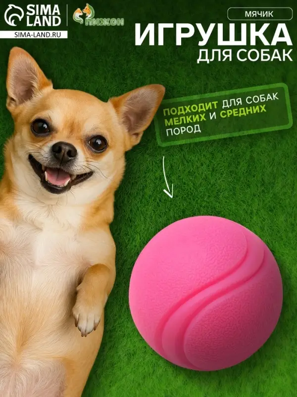 Мячик для собак, 6 см, цельнолитой, прыгучий, TPR, розовый