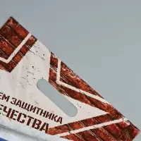 Пакет подарочный &laquo;С Днём Защитника Отечества&raquo;, полиэтиленовый с вырубной ручкой, 30&times;40 см, 50 мкм
