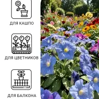Семена цветов Петуния крупноцветковая &laquo;Мондиаль&raquo;, голубая, F1, в ампуле, 0.01 г, &laquo;УРОЖАЙ УДАЧИ&raquo;