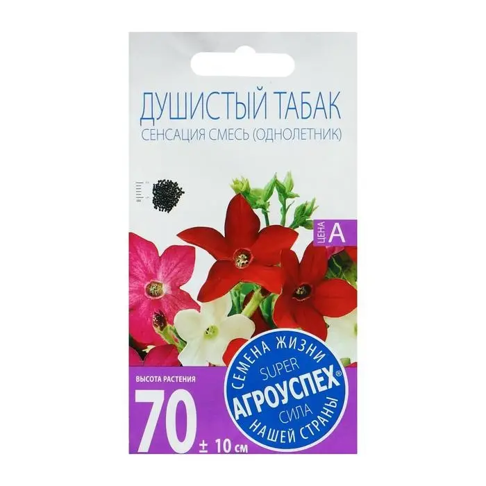 Семена цветов Душистый табак Сенсация смесь, О, 0,1 г Семена цветов Душистый табак Сенсация смесь, О, 0,1 г