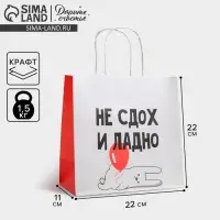 Пакет подарочный &laquo;И ладно&raquo;, упаковка, 22&times;22&times;11 см