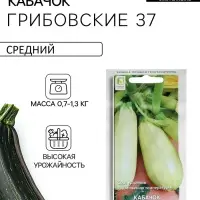 Семена Кабачок &laquo;Грибовские 37&raquo;, 12 шт., &laquo;ПОИСК&raquo;