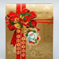 Коробка подарочная новогодняя «Золотая сумка» 21.5×25.6×11 см
