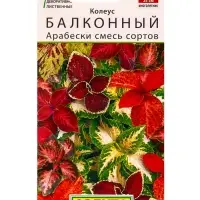 Семена цветов Колеус балконный Арабески, смесь сортов Мн Декоративно-лиственные, Ц/П,5 шт. Семена цветов Колеус балконный Арабески, смесь сортов Мн Декоративно-лиственные, Ц/П,5 шт.
