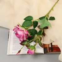 Цветы искусственные &laquo;Роза душистая&raquo;, 9&times;50 см, бело-сиреневый МИКС