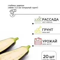 Семена баклажан &laquo;Ультраранний F1&raquo;, 20 шт.