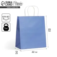 Пакет подарочный крафтовый, упаковка, «Blue», 22 х 25 х 12 см Пакет подарочный крафтовый, упаковка, «Blue», 22 х 25 х 12 см