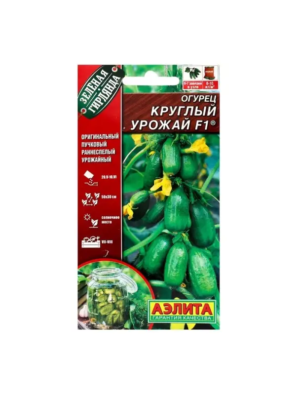 Семена Огурец  Семена Огурец "Круглый урожай" F1, ц/п,  10 шт