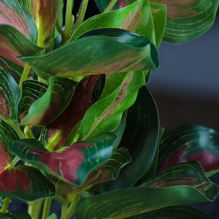 Растение аквариумное &laquo;В горшочке&raquo;, 31&times;23&times;19 см