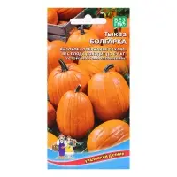 Семена Тыква "Болгарка", 6 шт Семена Тыква "Болгарка", 6 шт