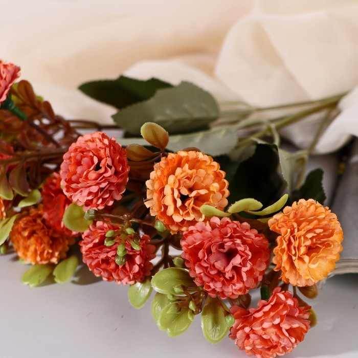 Букет Букет "Цинния изящная галант" 28 см, микс