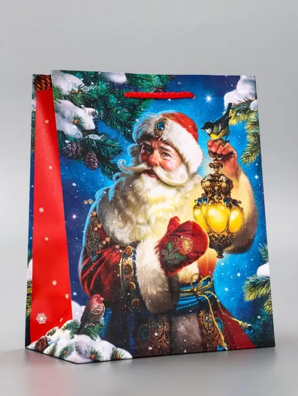 Пакет подарочный новогодний ламинированный, «Дед Мороз» , 18×10×22.3 см Пакет подарочный новогодний ламинированный, «Дед Мороз» , 18×10×22.3 см