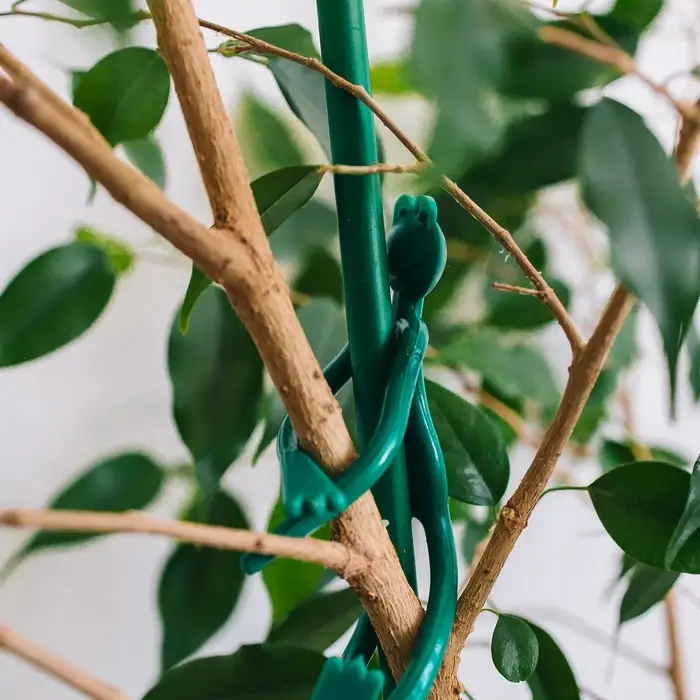 Подвязка для растений &laquo;Лягушка&raquo;, набор 2 шт., зелёная, Greengo