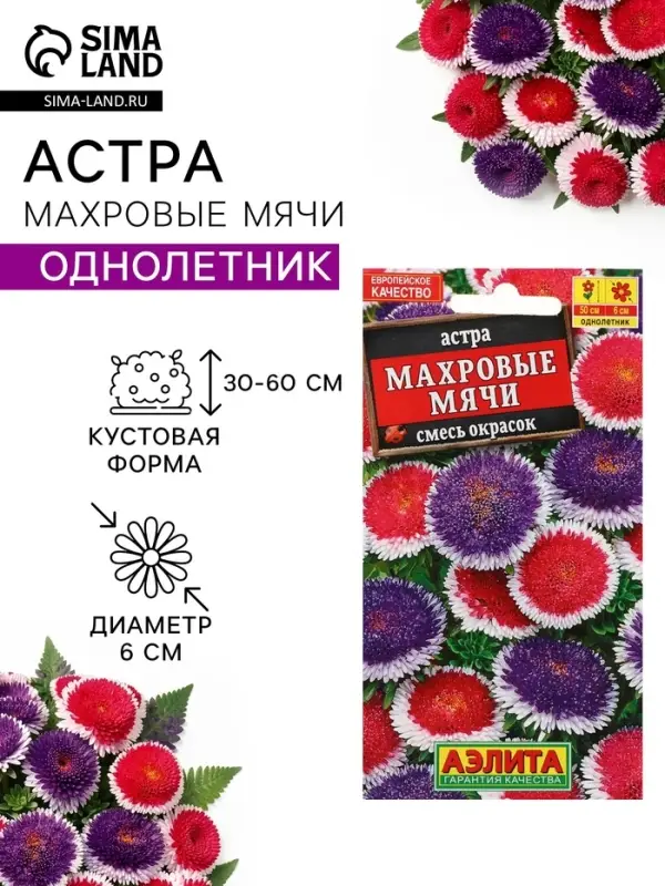 Семена цветов Астра &laquo;Махровые мячи&raquo; смесь сортов, однолетник, 0.1 г, &laquo;Аэлита&raquo;