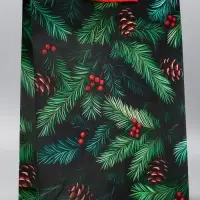 Пакет подарочный новогодний ламинированный, «Шишки» , 33×10×42.5 см