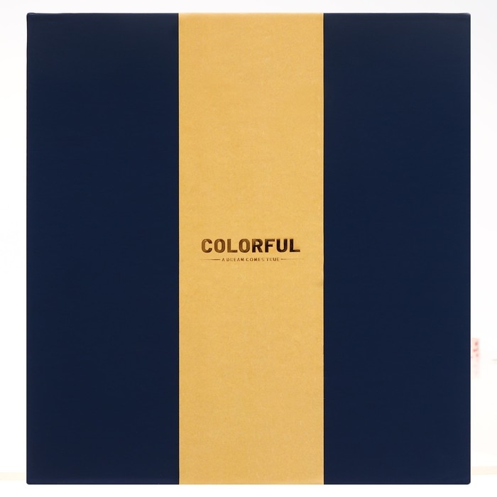 Органайзер на кольцах А6+, 80 листов, кожзам, c клапаном, линия, с ручкой, в подарочной коробке, синий Органайзер на кольцах А6+, 80 листов, кожзам, c клапаном, линия, с ручкой, в подарочной коробке, синий