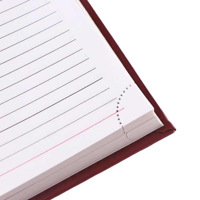 Ежедневник недатированный А5, 160 листов  Ежедневник недатированный А5, 160 листов "Небраска", перфорация углов, бордовый