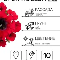 Семена цветов Петуния превосходнейшая &laquo;Бордовая&raquo; 10 шт.