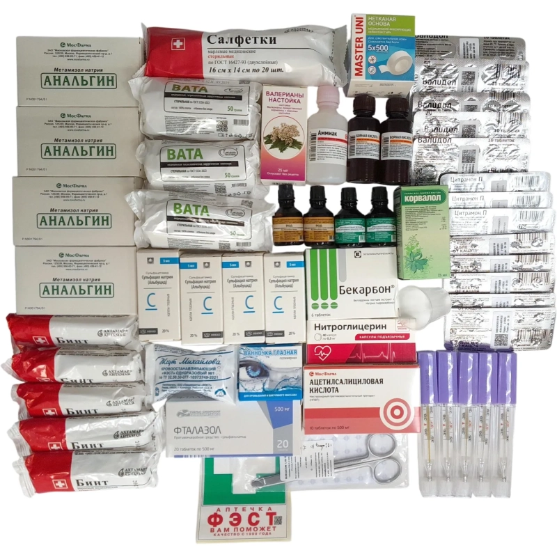 Аптечка первой помощи коллективная ФЭСТ для ЗСГО (до 100-150 челов) (сумка)