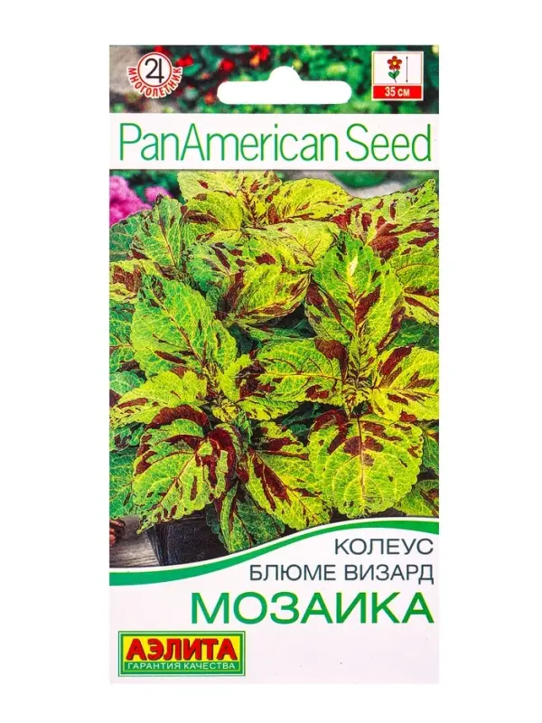 Семена цветов Колеус блюме Мозаика Мн Спецсерия PanAmerican, Ц/П,5 шт. Семена цветов Колеус блюме Мозаика Мн Спецсерия PanAmerican, Ц/П,5 шт.